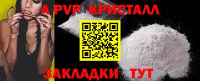 гидра Будённовск