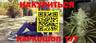 гидра Будённовск
