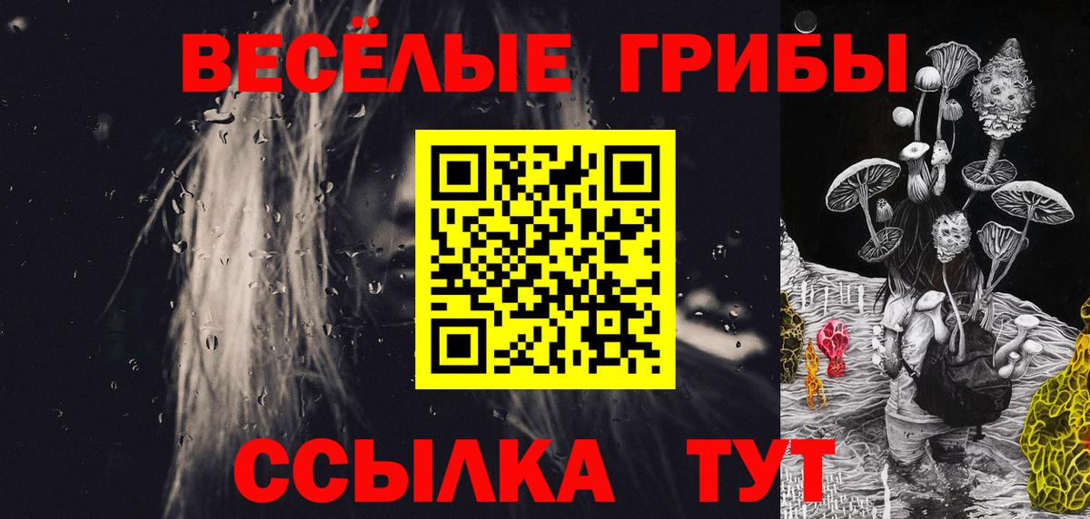 Галлюциногенные грибы Psilocybine cubensis Красноармейск