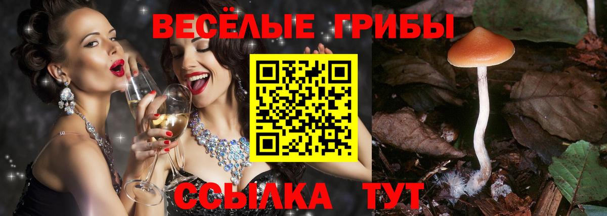 Красноармейск  даркнет сайт  Вход с VPN  Галлюциногенные грибы мицелий 
